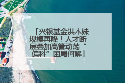 兴银基金洪木妹规模再降！人才断层叠加高管动荡“偏科”困局何解
