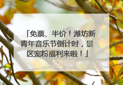 免票、半价！潍坊新青年音乐节倒计时，景区宠粉福利来啦！
