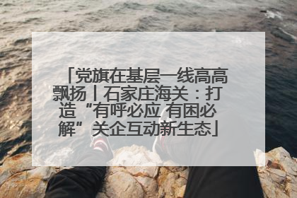 党旗在基层一线高高飘扬丨石家庄海关：打造“有呼必应 有困必解”关企互动新生态