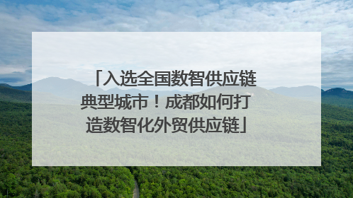 入选全国数智供应链典型城市！成都如何打造数智化外贸供应链
