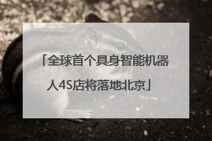 全球首个具身智能机器人4S店将落地北京