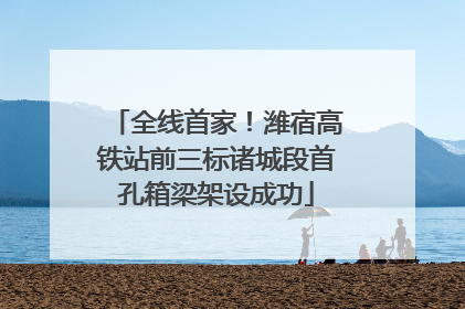 全线首家！潍宿高铁站前三标诸城段首孔箱梁架设成功