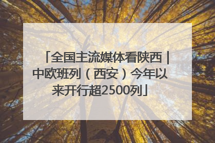 全国主流媒体看陕西｜中欧班列（西安）今年以来开行超2500列