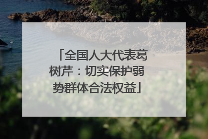 全国人大代表葛树芹：切实保护弱势群体合法权益