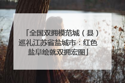 全国双拥模范城（县）巡礼江苏省盐城市：红色盐阜绘就双拥宏图