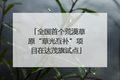 全国首个荒漠草原“草光互补”项目在达茂旗试点