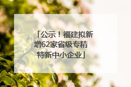 公示！福建拟新增62家省级专精特新中小企业