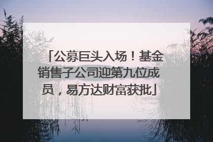 公募巨头入场！基金销售子公司迎第九位成员，易方达财富获批