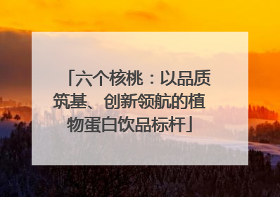 六个核桃：以品质筑基、创新领航的植物蛋白饮品标杆