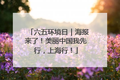 六五环境日｜海报来了！美丽中国我先行，上海行！