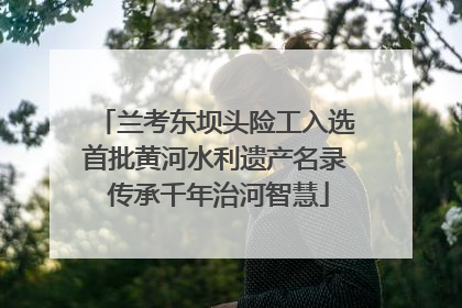 兰考东坝头险工入选首批黄河水利遗产名录 传承千年治河智慧