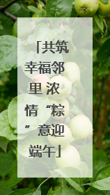 共筑幸福邻里 浓情“粽”意迎端午
