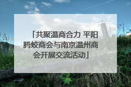 共聚温商合力 平阳腾蛟商会与南京温州商会开展交流活动