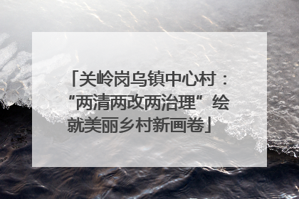 关岭岗乌镇中心村：“两清两改两治理”绘就美丽乡村新画卷