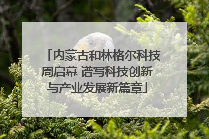 内蒙古和林格尔科技周启幕 谱写科技创新与产业发展新篇章