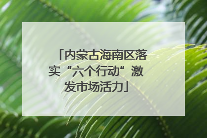 内蒙古海南区落实“六个行动”激发市场活力