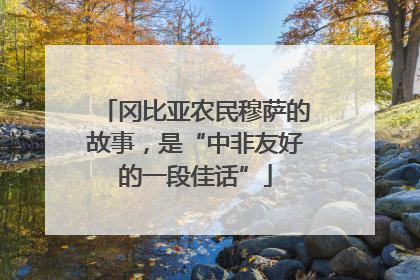 冈比亚农民穆萨的故事，是“中非友好的一段佳话”