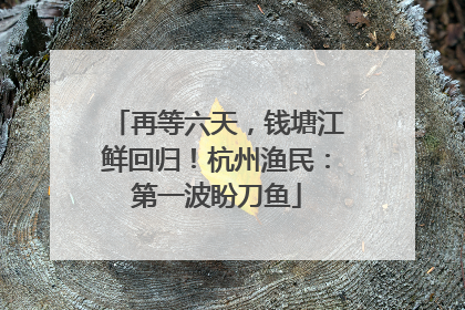 再等六天，钱塘江鲜回归！杭州渔民：第一波盼刀鱼