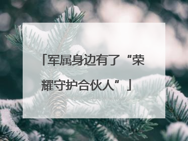 军属身边有了“荣耀守护合伙人”
