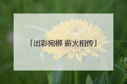 出彩宛梆 薪火相传