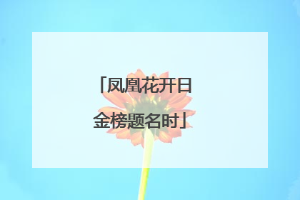 凤凰花开日 金榜题名时