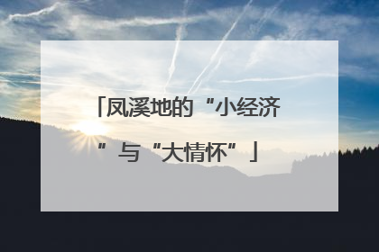 凤溪地的“小经济”与“大情怀”