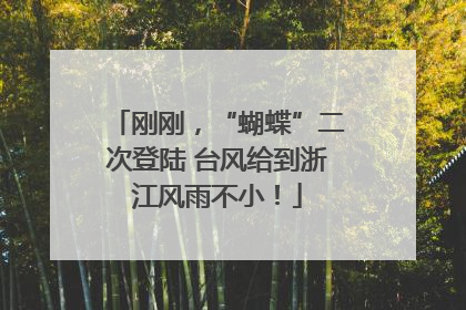 刚刚，“蝴蝶”二次登陆 台风给到浙江风雨不小！