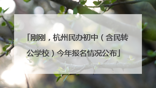 刚刚，杭州民办初中（含民转公学校）今年报名情况公布