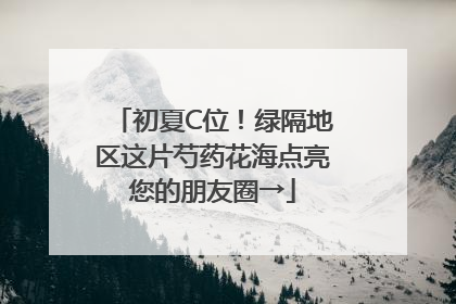 初夏C位！绿隔地区这片芍药花海点亮您的朋友圈→