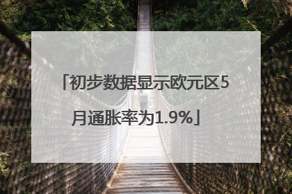 初步数据显示欧元区5月通胀率为1.9%