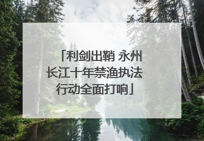 利剑出鞘 永州长江十年禁渔执法行动全面打响