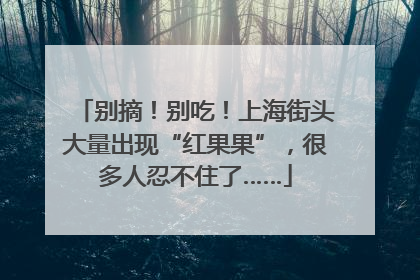 别摘！别吃！上海街头大量出现“红果果”，很多人忍不住了……