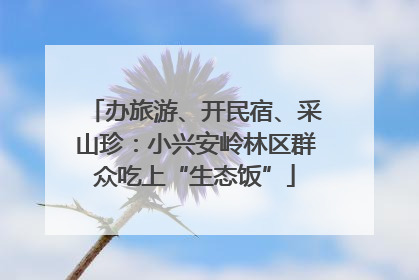 办旅游、开民宿、采山珍：小兴安岭林区群众吃上“生态饭”