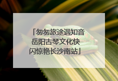 匆匆旅途遇知音 岳阳古琴文化快闪惊艳长沙南站