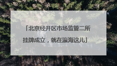 北京经开区市场监管二所挂牌成立，就在瀛海这儿