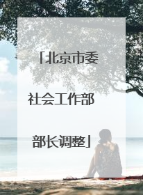 北京市委社会工作部部长调整