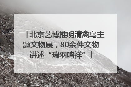 北京艺博推明清禽鸟主题文物展，80余件文物讲述“瑞羽鸣祥”