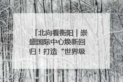北向看衡阳｜崇盛国际中心焕新回归！打造“世界级美食主题公园”
