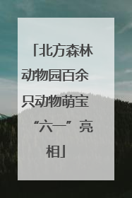北方森林动物园百余只动物萌宝“六一”亮相