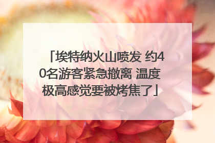 埃特纳火山喷发 约40名游客紧急撤离 温度极高感觉要被烤焦了