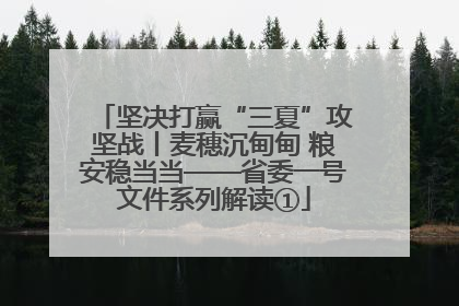 坚决打赢“三夏”攻坚战丨麦穗沉甸甸 粮安稳当当——省委一号文件系列解读①
