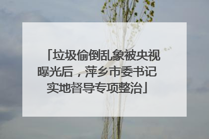 垃圾偷倒乱象被央视曝光后，萍乡市委书记实地督导专项整治