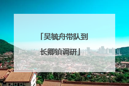 吴毓舟带队到长卿镇调研