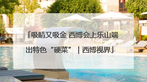 吸睛又吸金 西博会上乐山端出特色“硬菜”｜西博视界