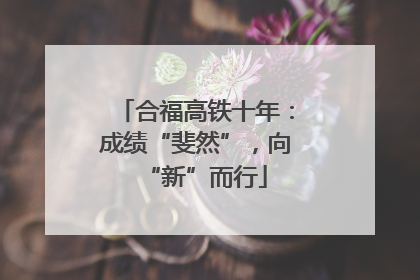合福高铁十年：成绩“斐然”，向“新”而行