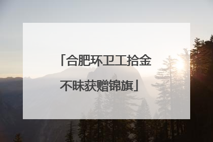 合肥环卫工拾金不昧获赠锦旗