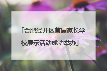合肥经开区首届家长学校展示活动成功举办