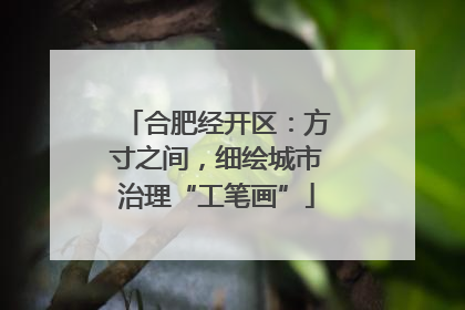 合肥经开区：方寸之间，细绘城市治理“工笔画”