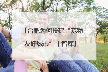 合肥为何投建“宠物友好城市”｜智库