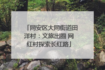同安区大同街道田洋村：文旅出圈 网红村探索长红路